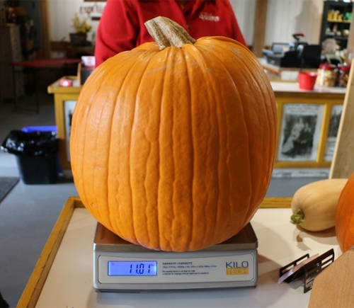Kilotech KWS SW-30 Bench Weighing Scale (15 kg)