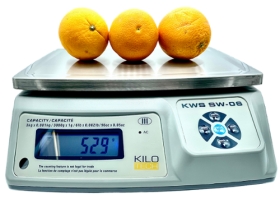 Kilotech KWS SW-30 Bench Weighing Scale (15 kg)